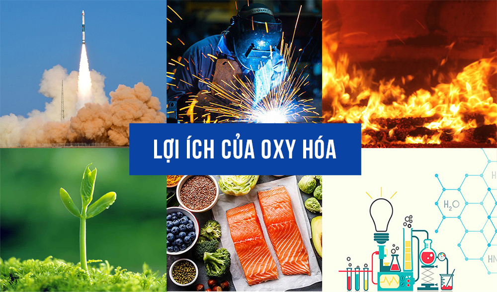 Lợi ích của oxy hóa