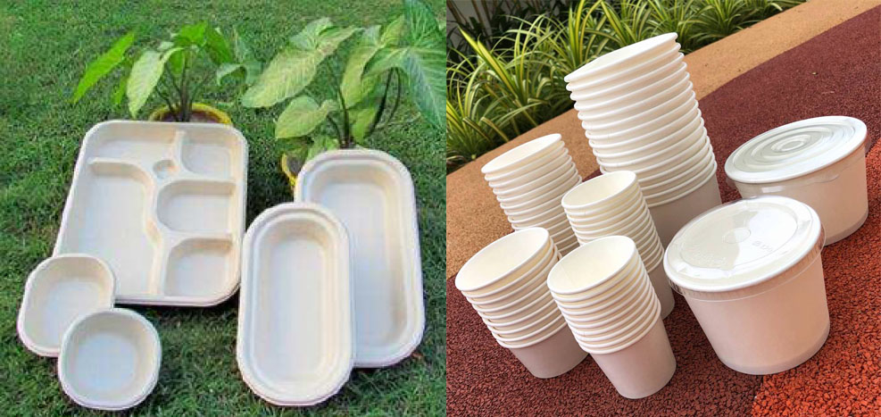Sản phẩm từ bột giấy