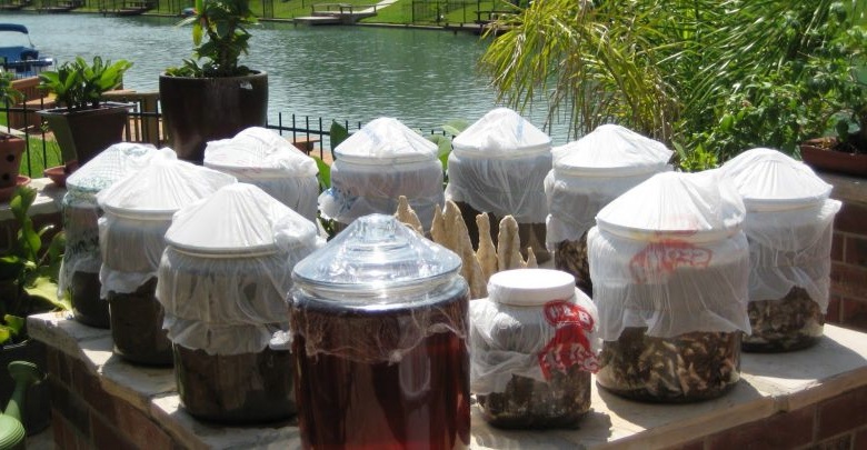 Trưng cất nước mắm